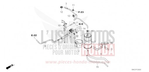 CUVETTE GL1800DAN de 2022